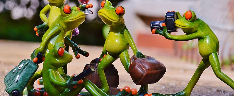 The Pros and Cons of Group Travel and Tips for Survival